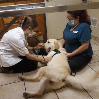 Apple Country Veterinary Hospital ico