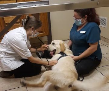 Apple Country Veterinary Hospital