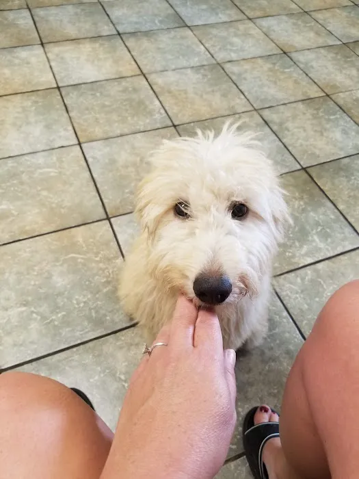 Apple Country Veterinary Hospital 6