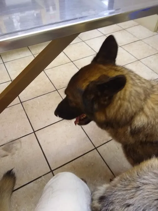 Apple Country Veterinary Hospital 10