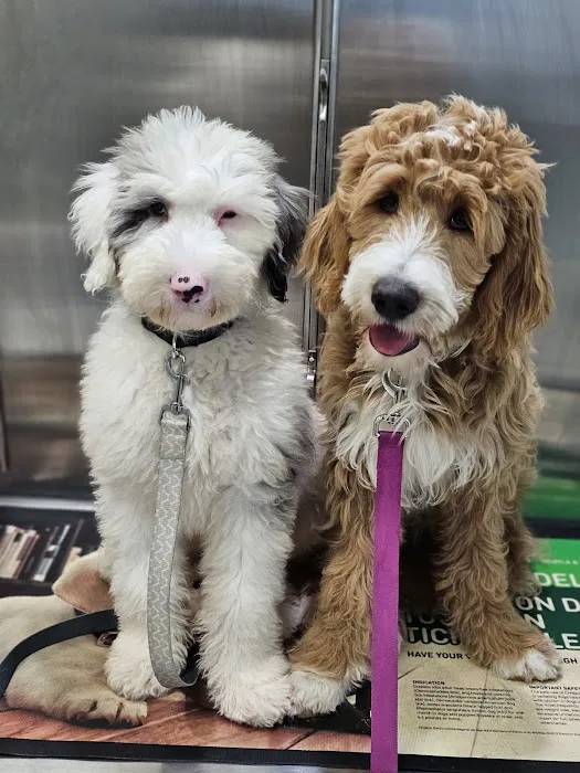 Clarkson Veterinary Hospital 8