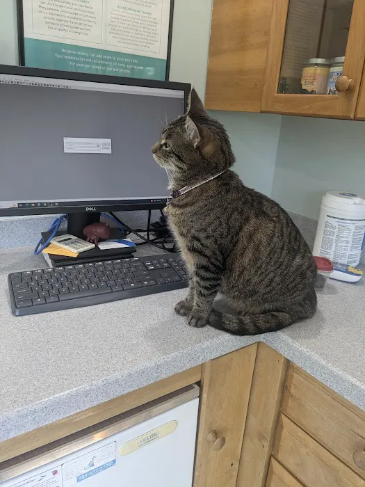 Clarkson Veterinary Hospital 3