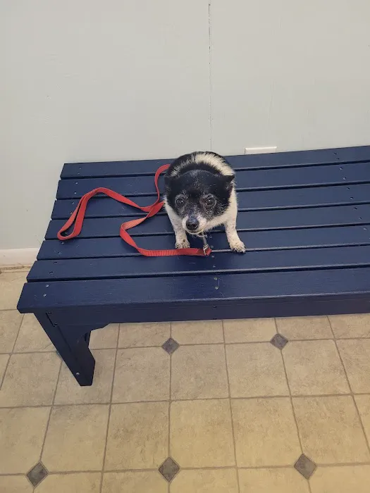 Fidelis Animal Hospital 5