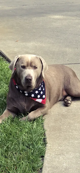 Fidelis Animal Hospital 10