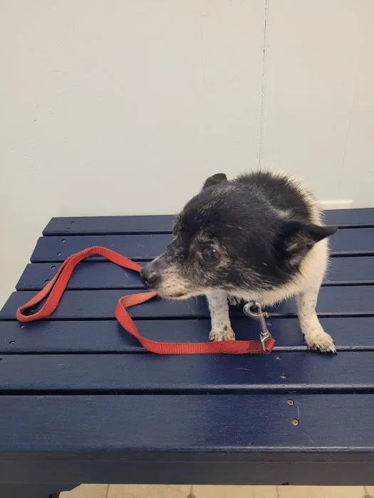 Fidelis Animal Hospital 8