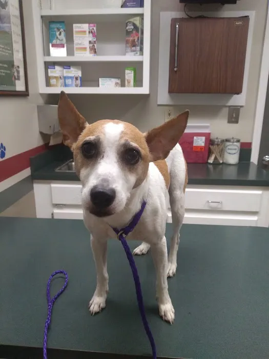 Companion Veterinary Care Center 1