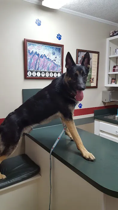 Companion Veterinary Care Center 5
