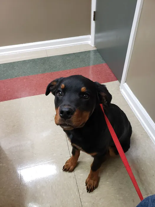 Companion Veterinary Care Center 2
