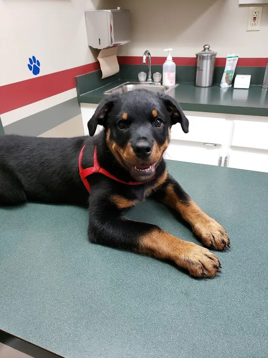 Companion Veterinary Care Center 3
