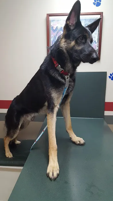 Companion Veterinary Care Center 6