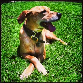 Cashua Veterinary Care 3