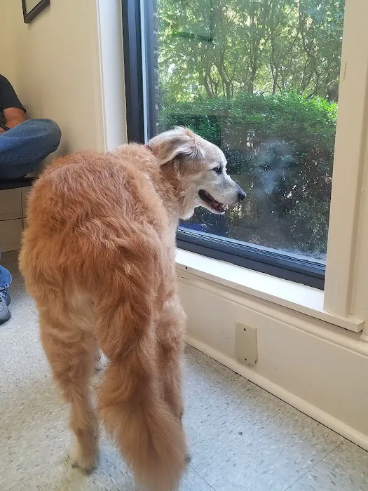 Cashua Veterinary Care 5
