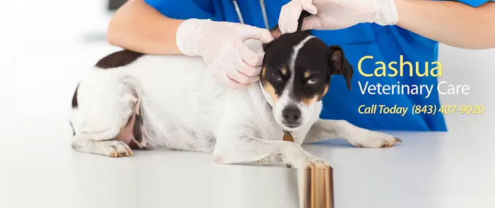 Cashua Veterinary Care 9