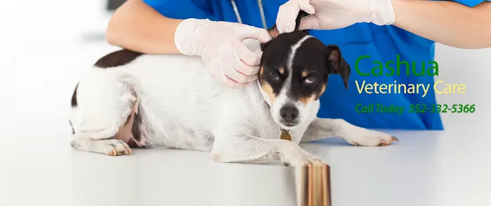 Cashua Veterinary Care 10