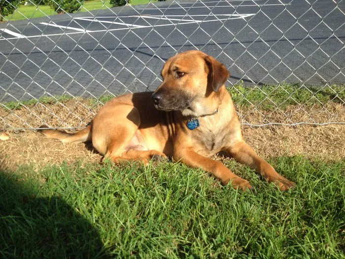 Cashua Veterinary Care 6