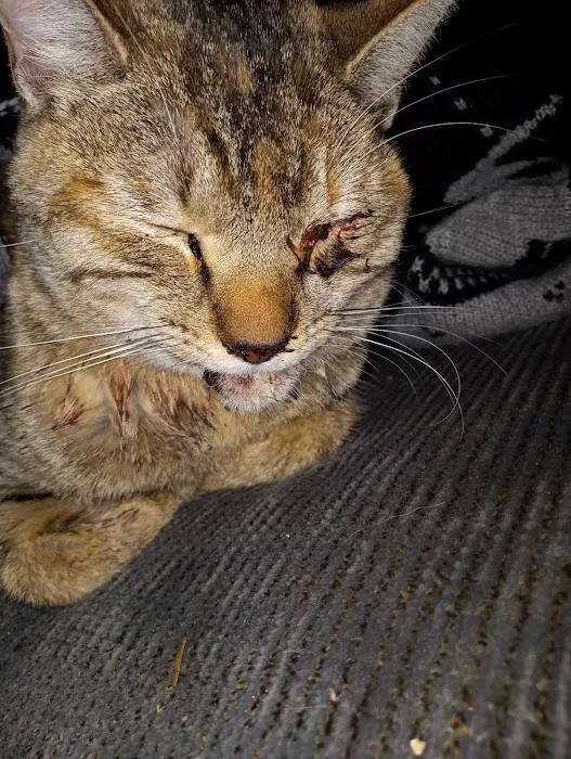 Footloose Veterinary Services, LLC 8