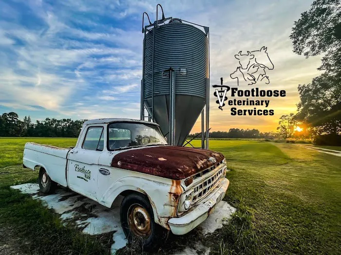 Footloose Veterinary Services, LLC 3