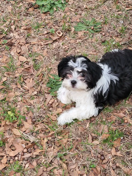Footloose Veterinary Services, LLC 5
