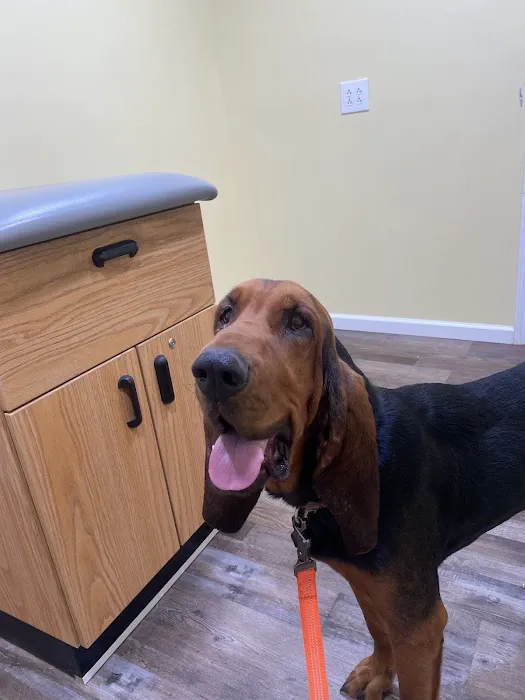 Footloose Veterinary Services, LLC 7