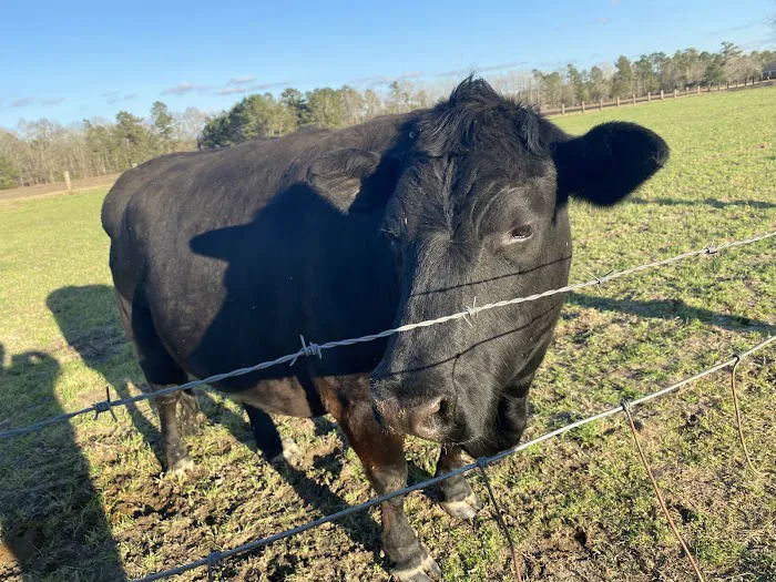 Footloose Veterinary Services, LLC 6