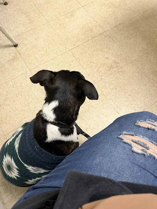 Allegheny Spay & Neuter Clinic 6