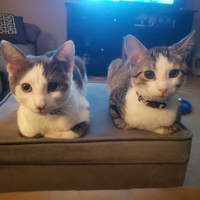 Allegheny Spay & Neuter Clinic 9