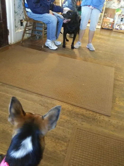 Medina Veterinary Clinic 7