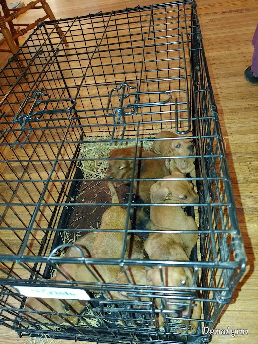 Medina Veterinary Clinic 9