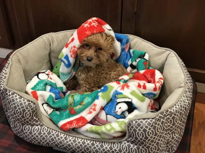 Ridge Animal Hospital 3