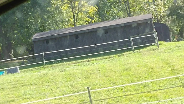 Newfield Veterinary Clinic 3