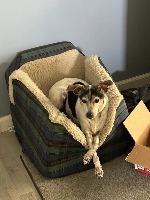 All Ears Veterinary Clinic PLLC Horseheads 7