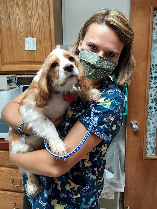 Lake Road Animal Hospital 4