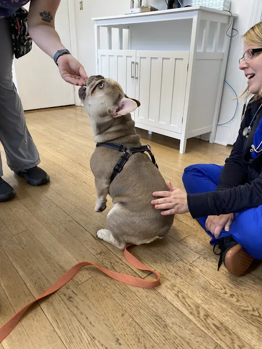 Home Veterinary Care 7