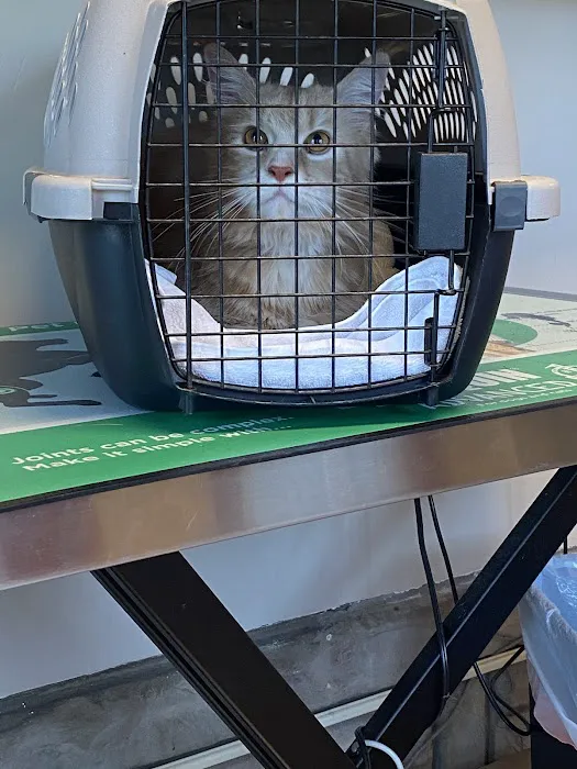 Home Veterinary Care 8