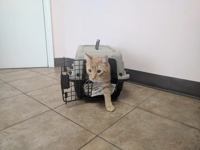 VCA Chemung Valley Animal Hospital 1