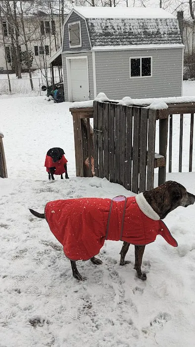 VCA Chemung Valley Animal Hospital 3