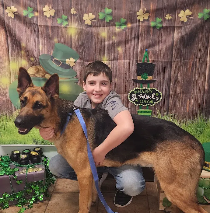 VCA Chemung Valley Animal Hospital 10