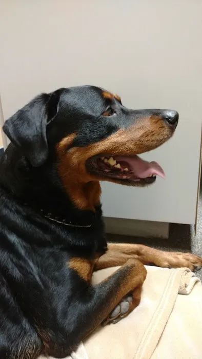 VCA Broadway Animal Hospital 6