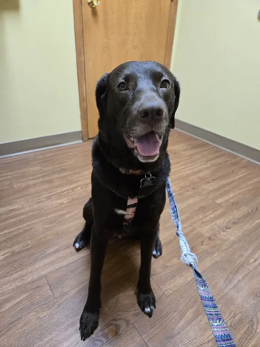 VCA Broadway Animal Hospital 3