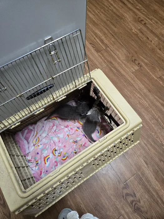 VCA Broadway Animal Hospital 7
