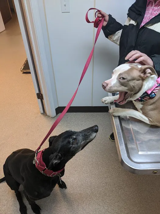 Northern Tier Veterinary Clinic 8