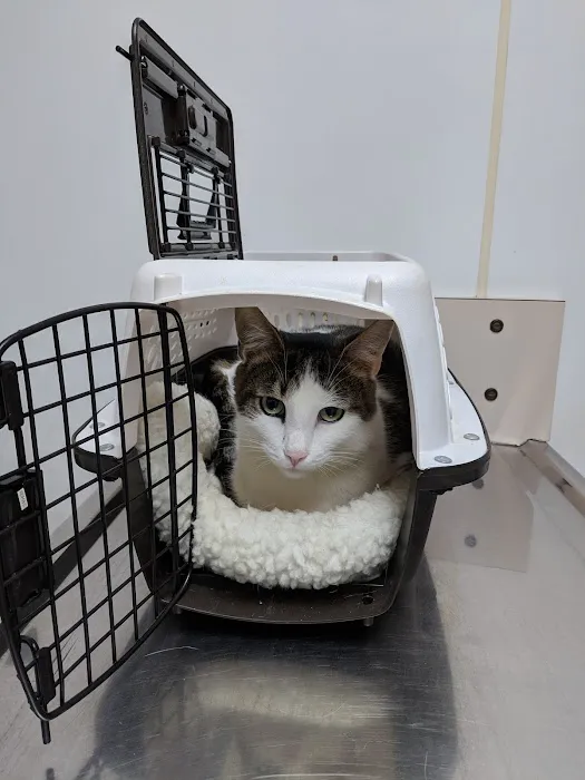 Northern Tier Veterinary Clinic 6