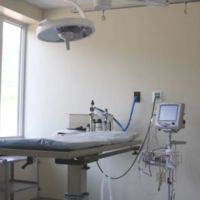 Wellsboro Small Animal Hospital P.C. ico