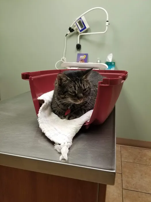 Wellsboro Small Animal Hospital P.C. 4