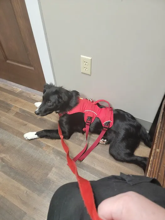 Grand Canyon Veterinary Hospital 1
