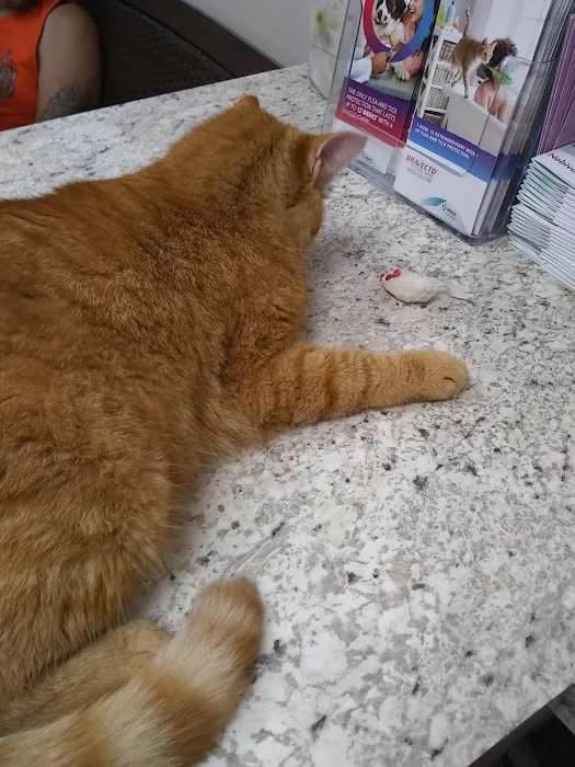 Grand Canyon Veterinary Hospital 6