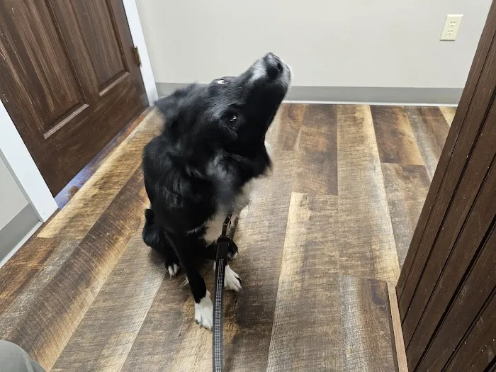 Grand Canyon Veterinary Hospital 5