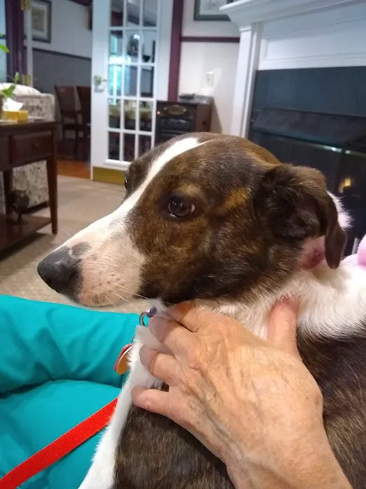 Grand Canyon Veterinary Hospital 7