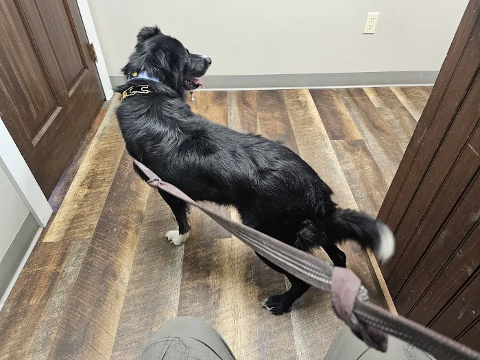 Grand Canyon Veterinary Hospital 4
