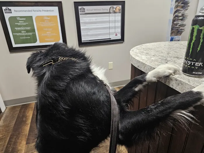 Grand Canyon Veterinary Hospital 8
